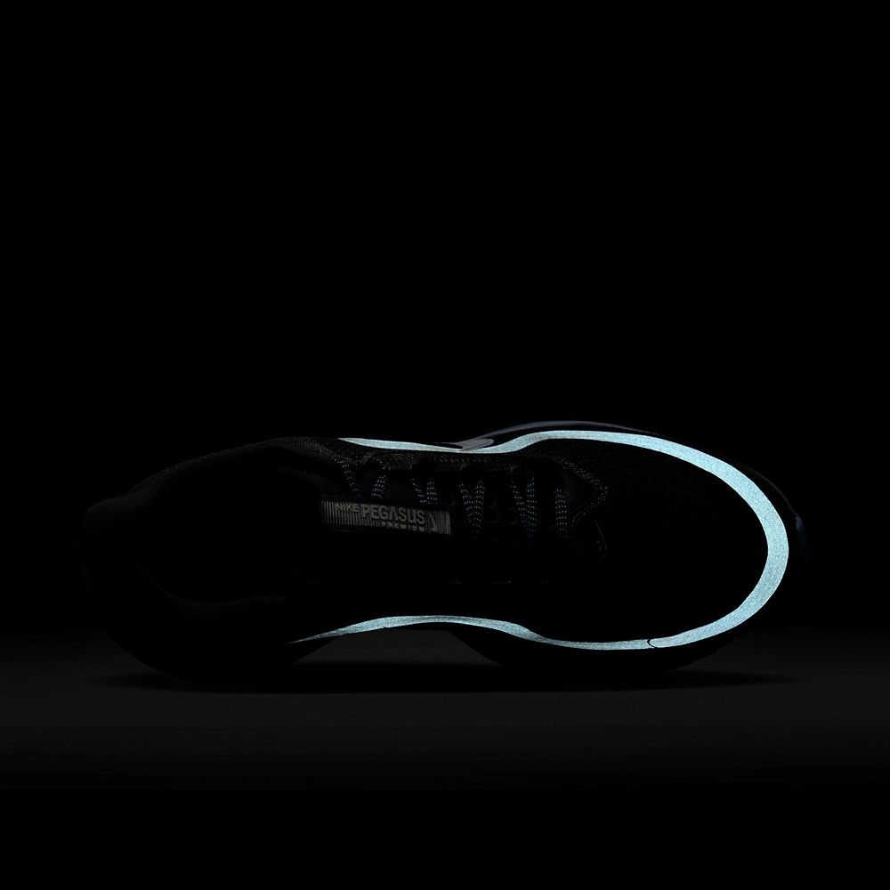 Nike Pegasus Premium
