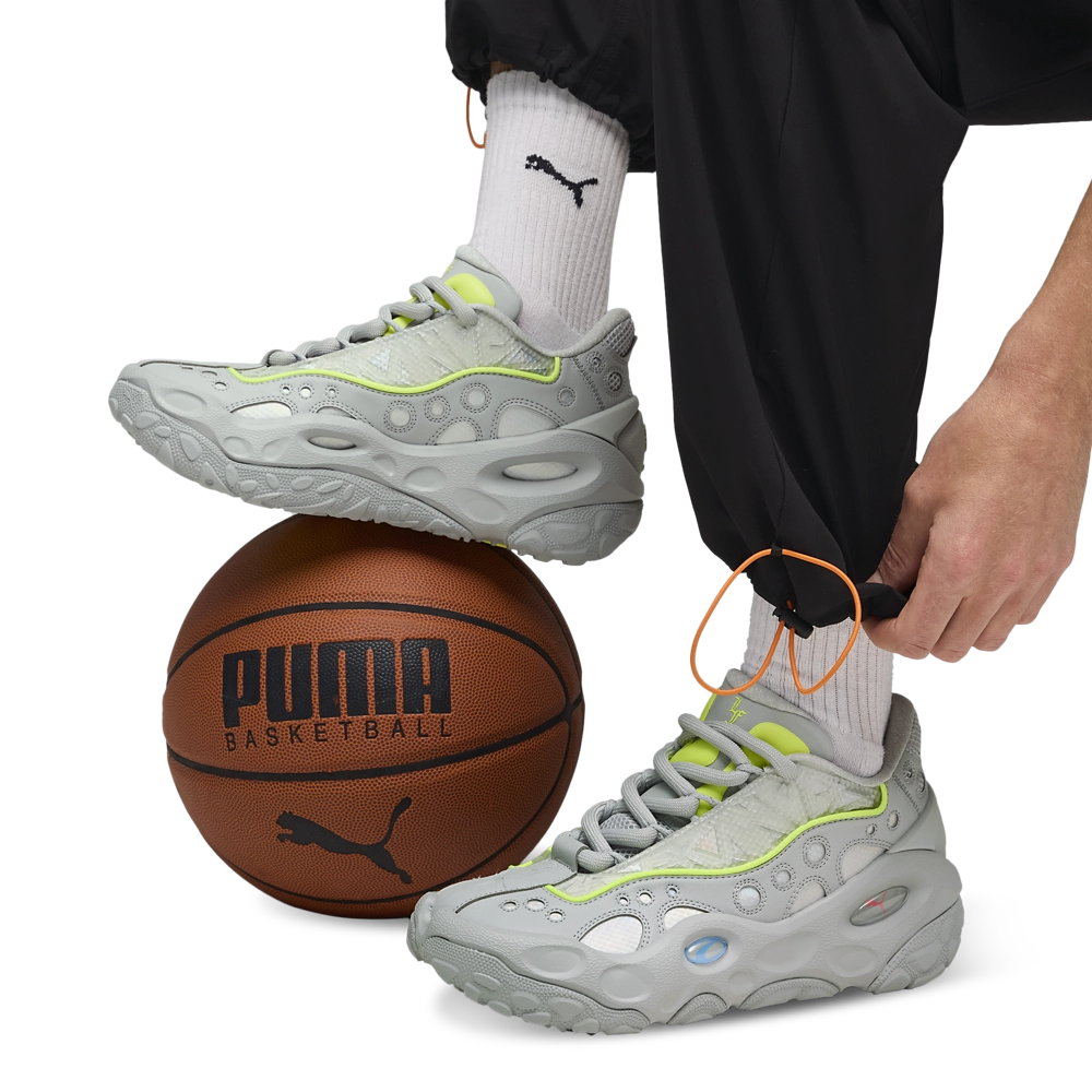 PUMA LaFrance RNR Solar