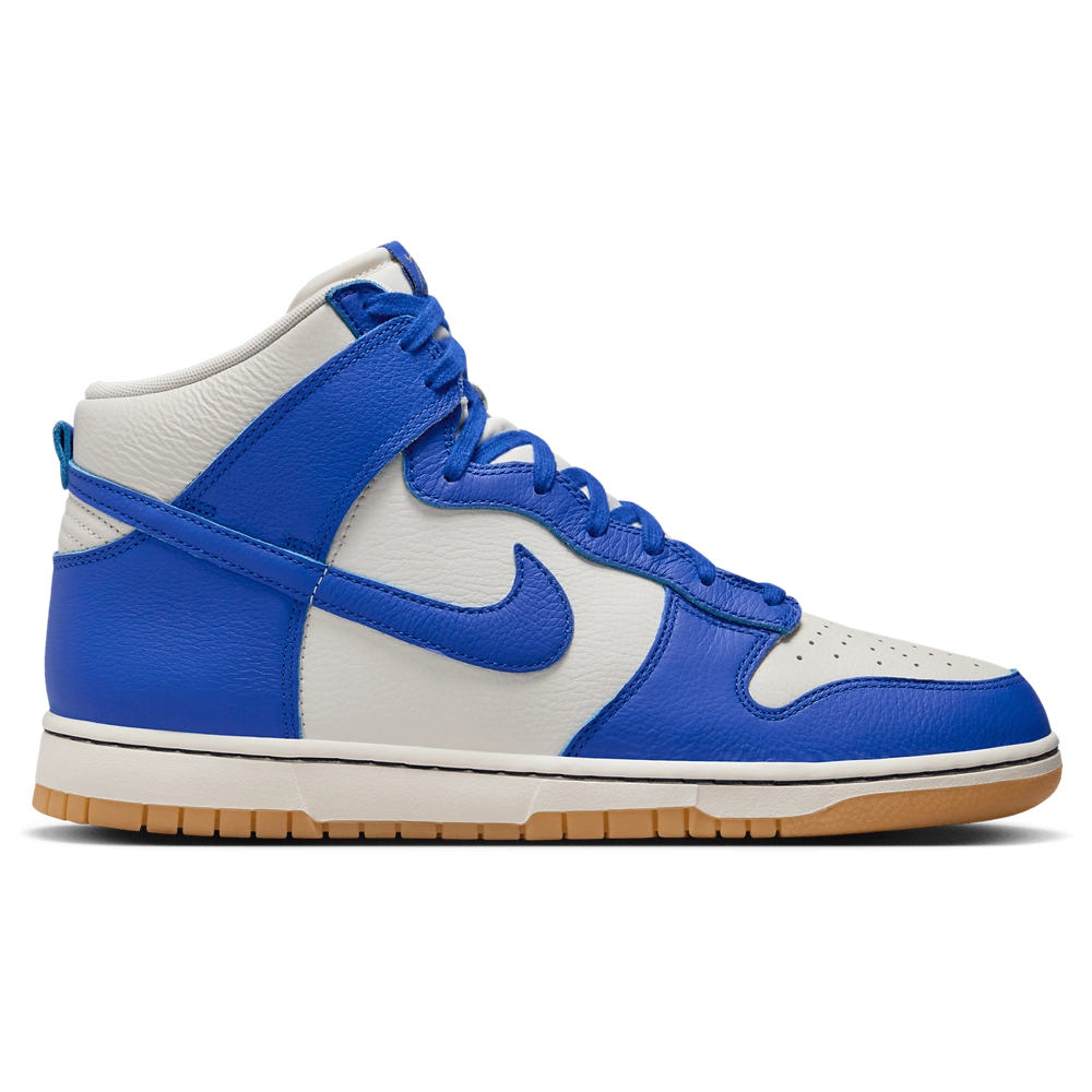Nike Dunk Hi Retro