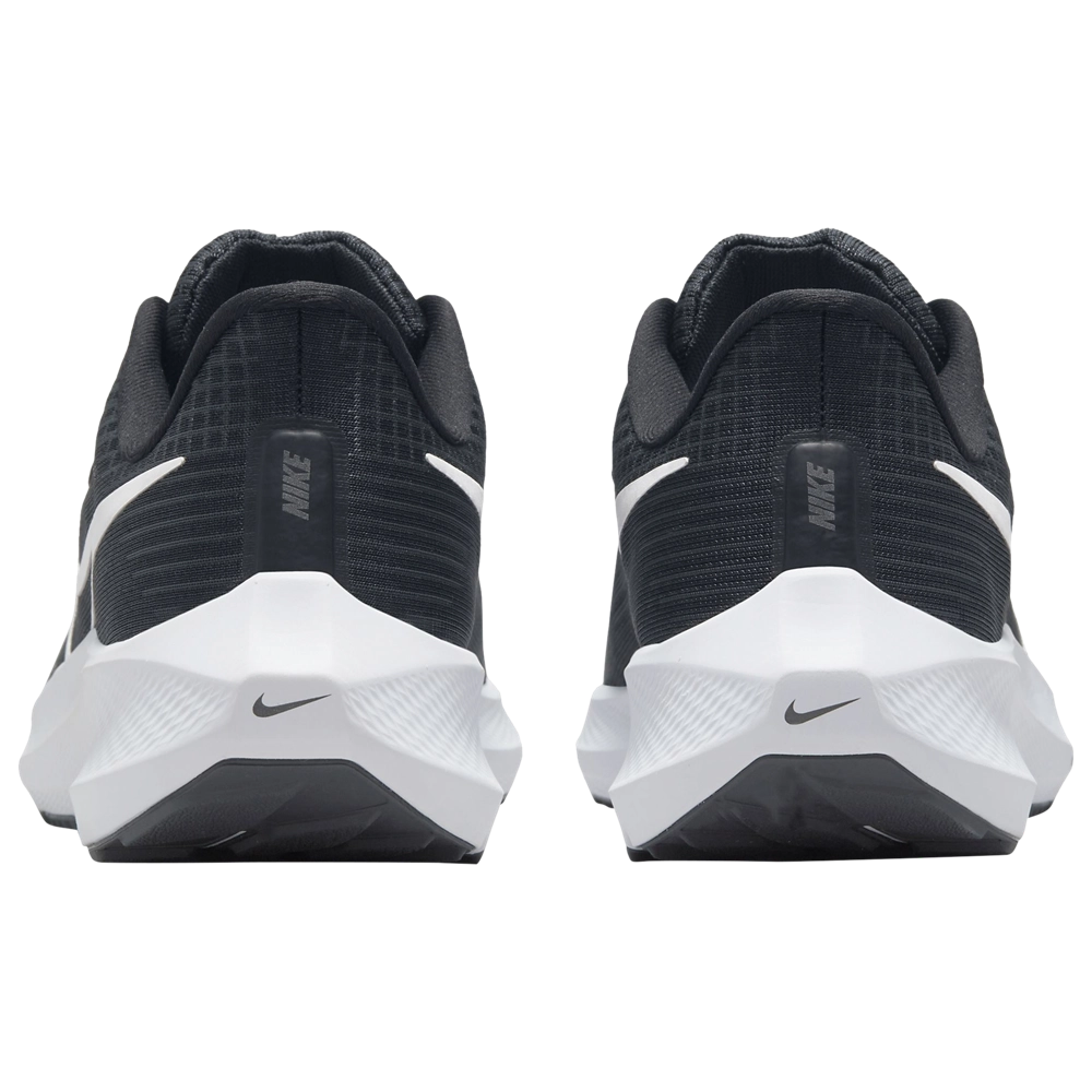Nike Pegasus 39