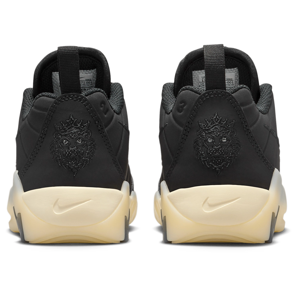 Nike Lebron Witness IX