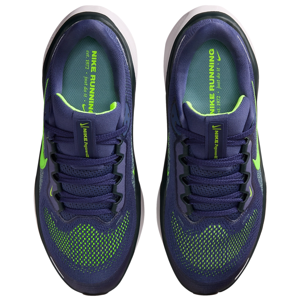 Nike Air Zoom Pegasus 41