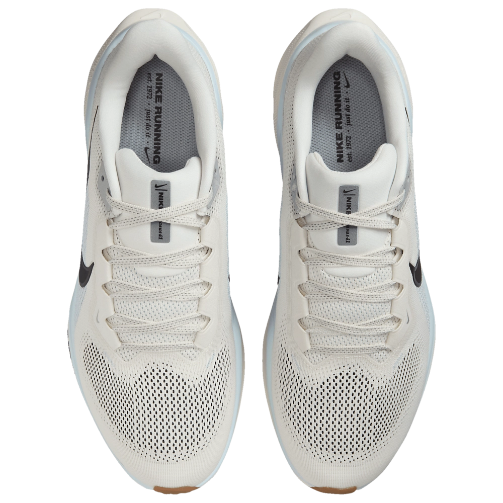 Nike Air Zoom Pegasus 41