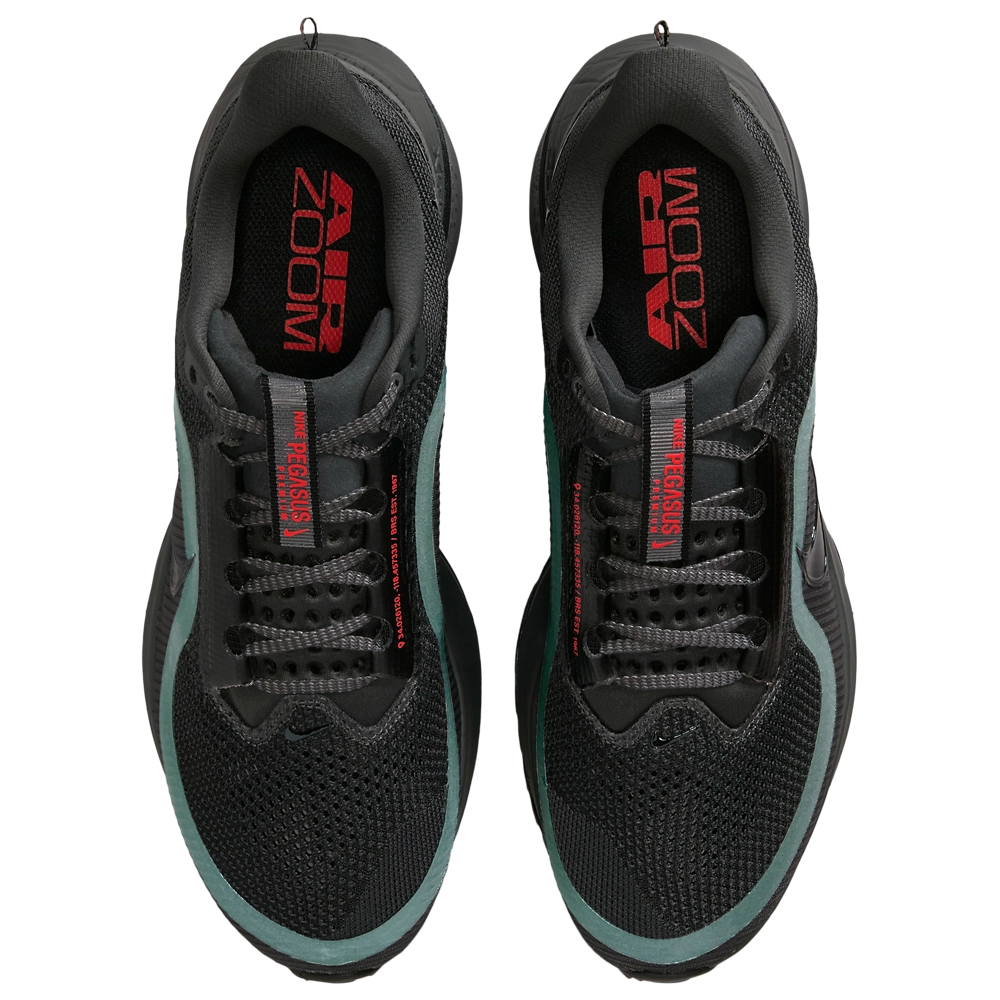 Nike Pegasus Premium