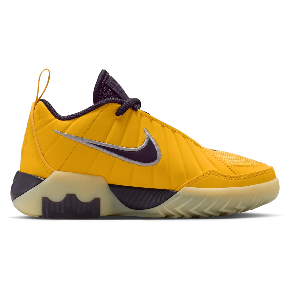 Nike Lebron Witness IX
