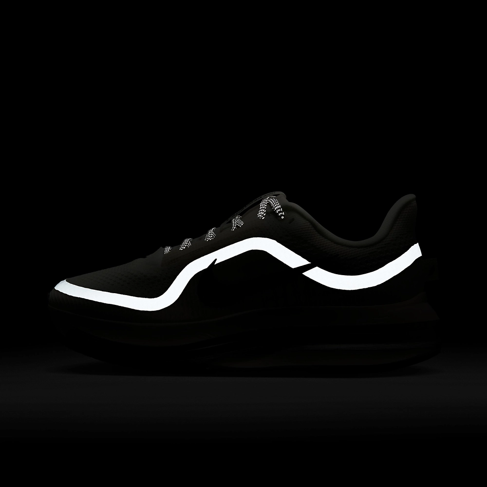 Nike Pegasus Premium