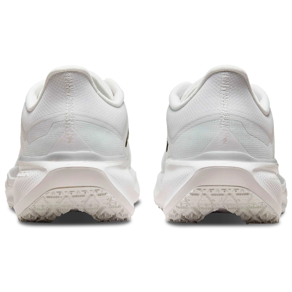 Nike Air ZOOM Pegasus 41 GTX