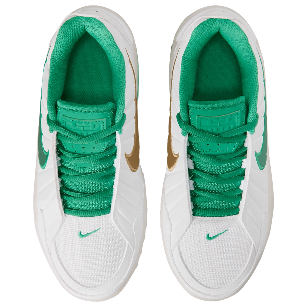 Nike Lebron Witness IX