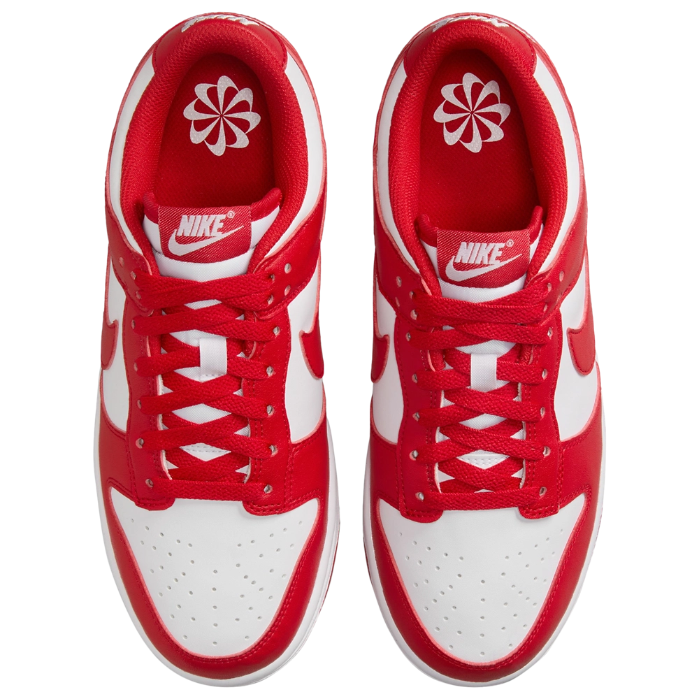 Nike Dunk Low Next Nature