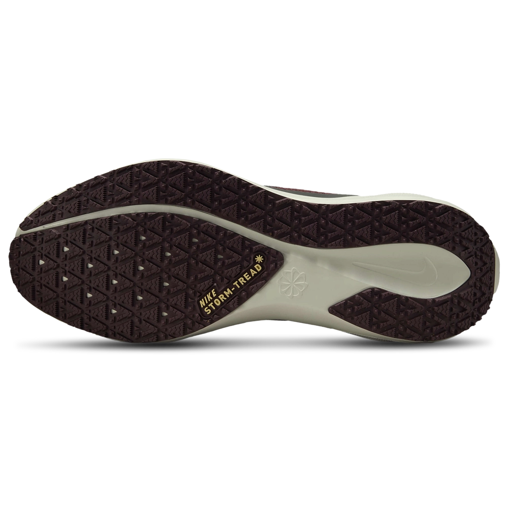 Nike Air ZOOM Pegasus 41 GTX