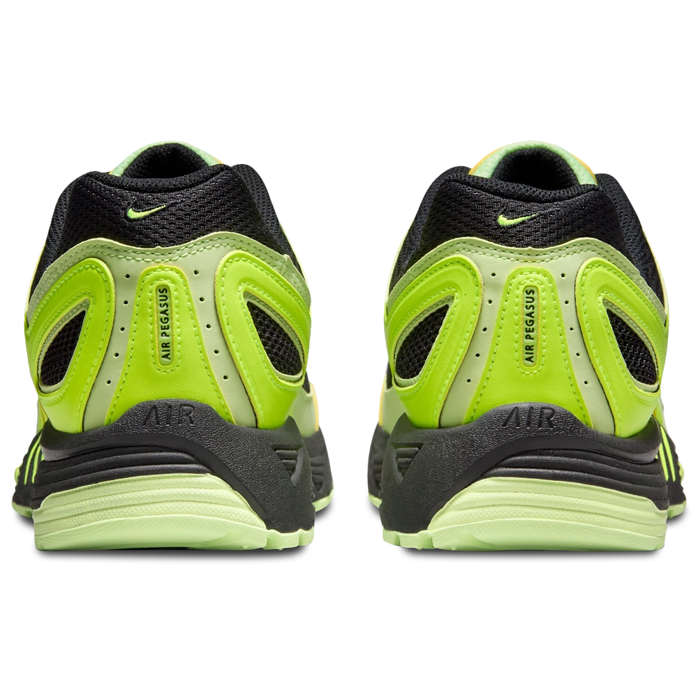 Nike Air Pegasus 2005