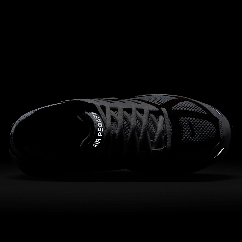 Nike Air Pegasus 2005