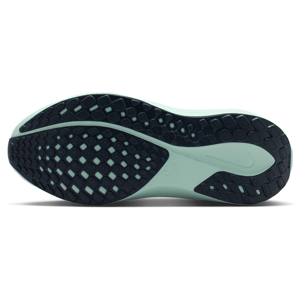 Nike Air Zoom Pegasus 41