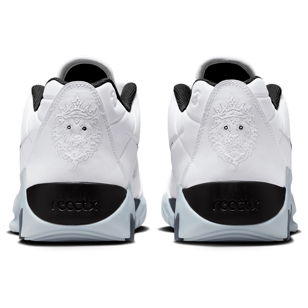 Nike Lebron Witness IX