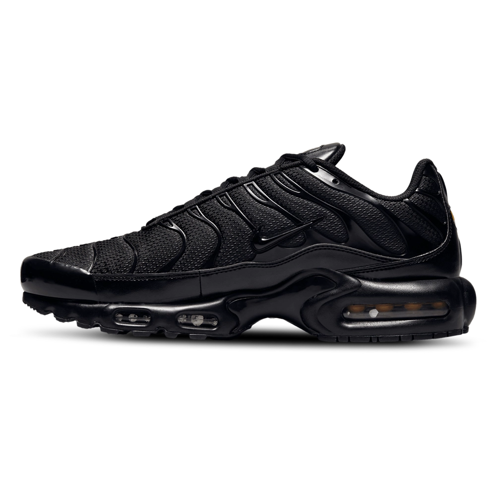 Nike Air Max Plus