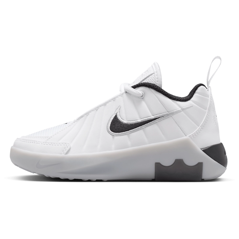 Nike Lebron Witness IX