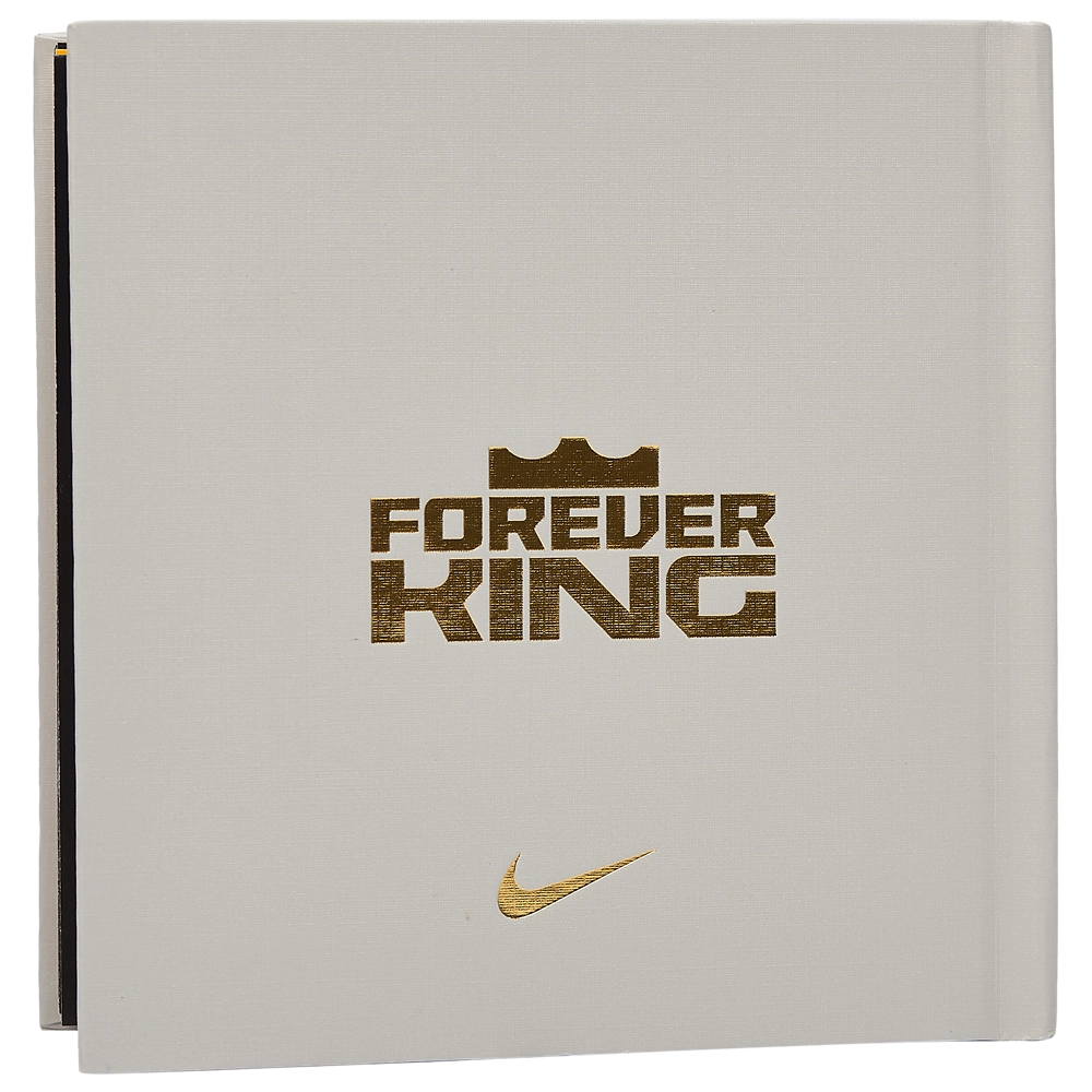 Nike Lebron XXIII Alt