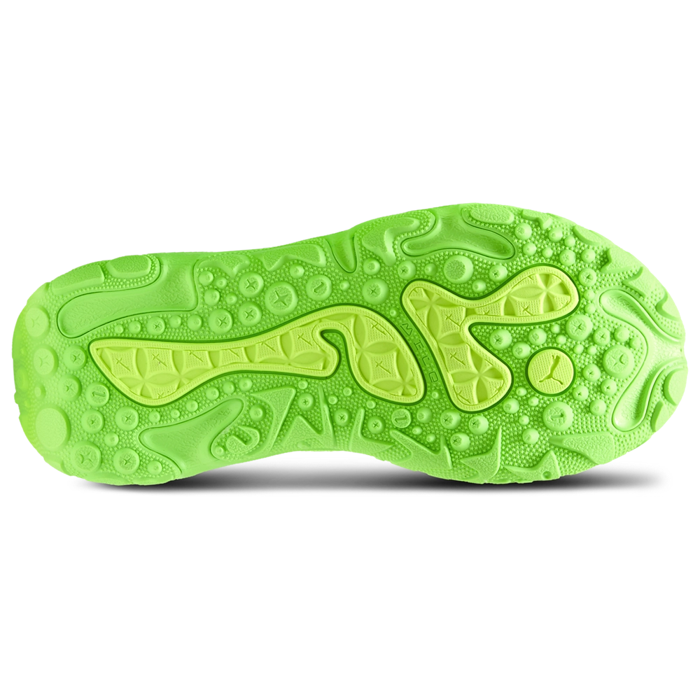 PUMA LaFrance RNR Bonds