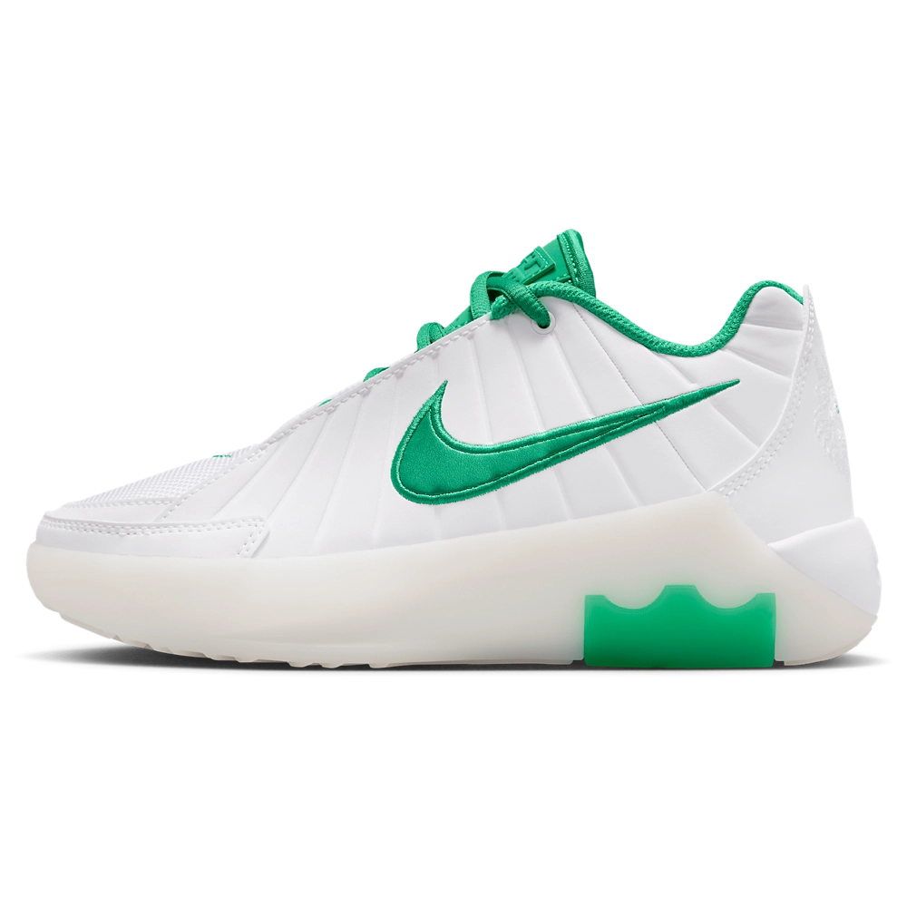 Nike Lebron Witness IX