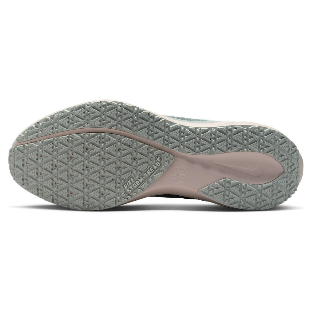 Nike Air ZOOM Pegasus 41 GTX