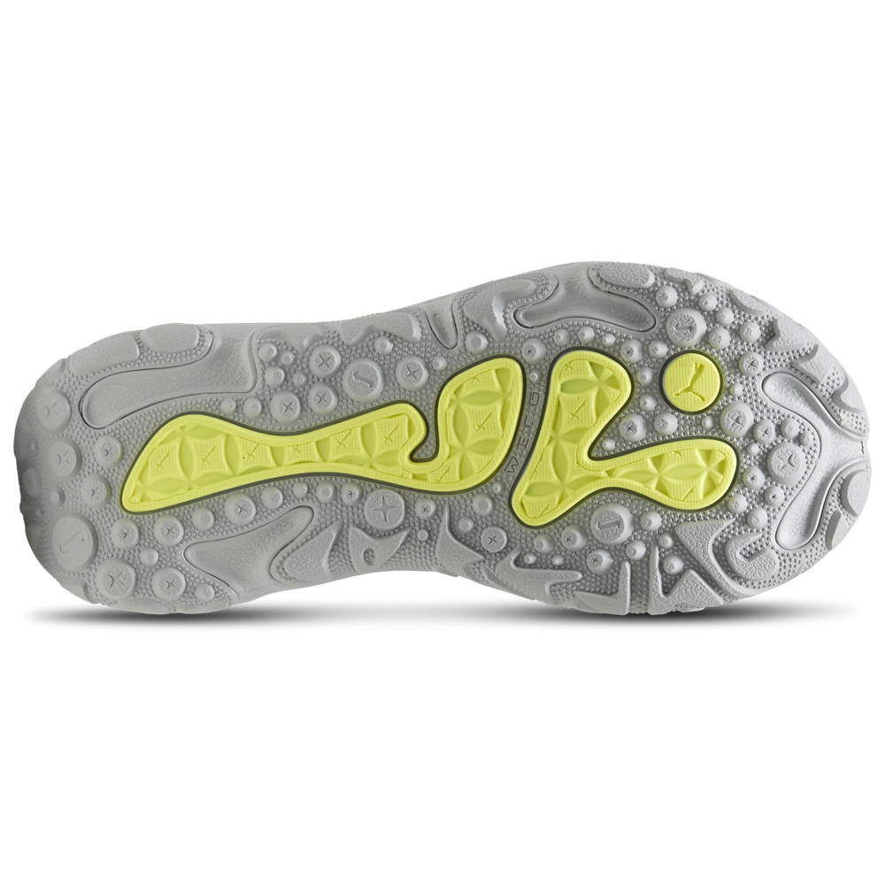 PUMA LaFrance RNR Solar