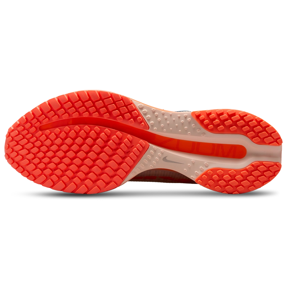 Nike Pegasus Premium