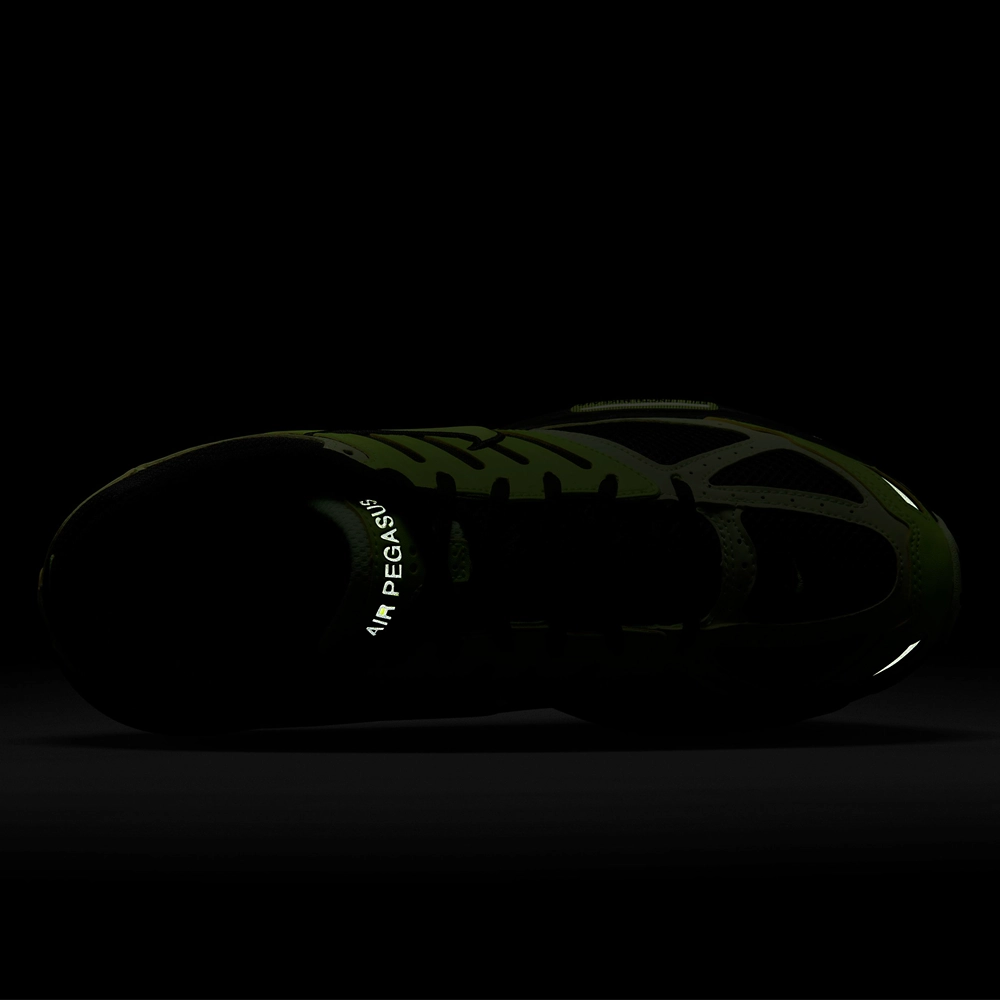 Nike Air Pegasus 2005