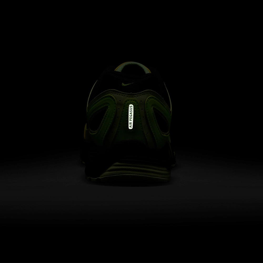 Nike Air Pegasus 2005