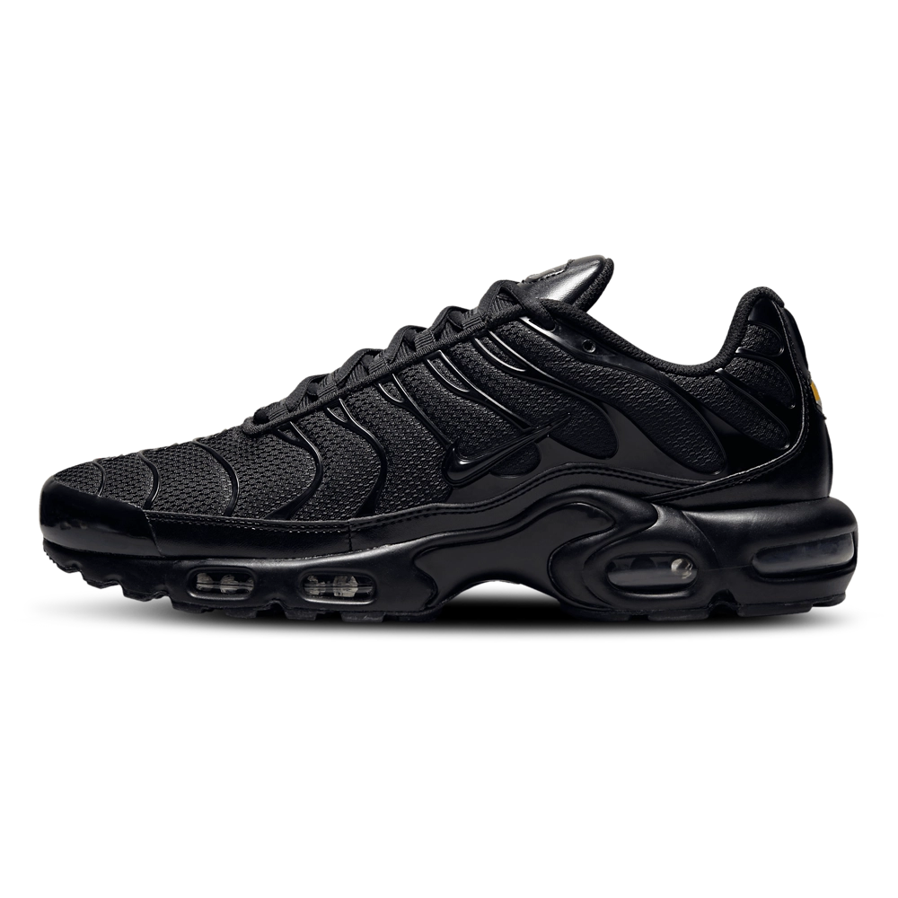 Nike Air Max Plus