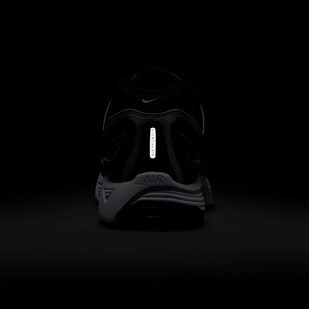 Nike Air Pegasus 2005