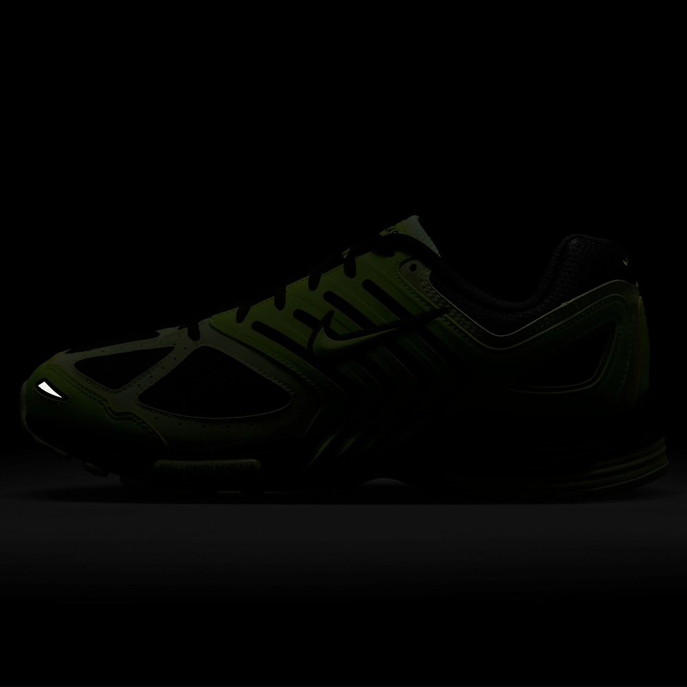 Nike Air Pegasus 2005