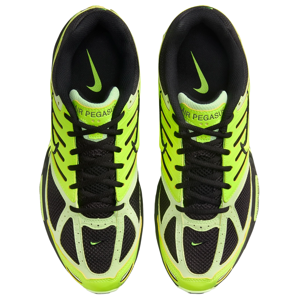 Nike Air Pegasus 2005