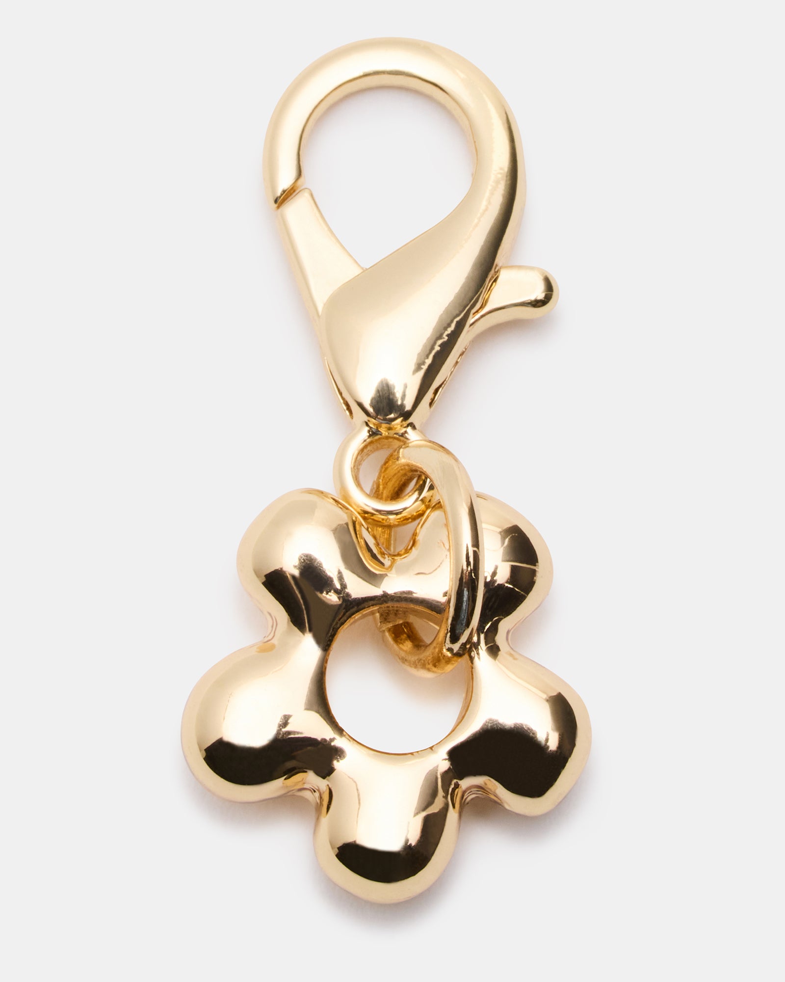 Shoe Laces And Charms Lace White