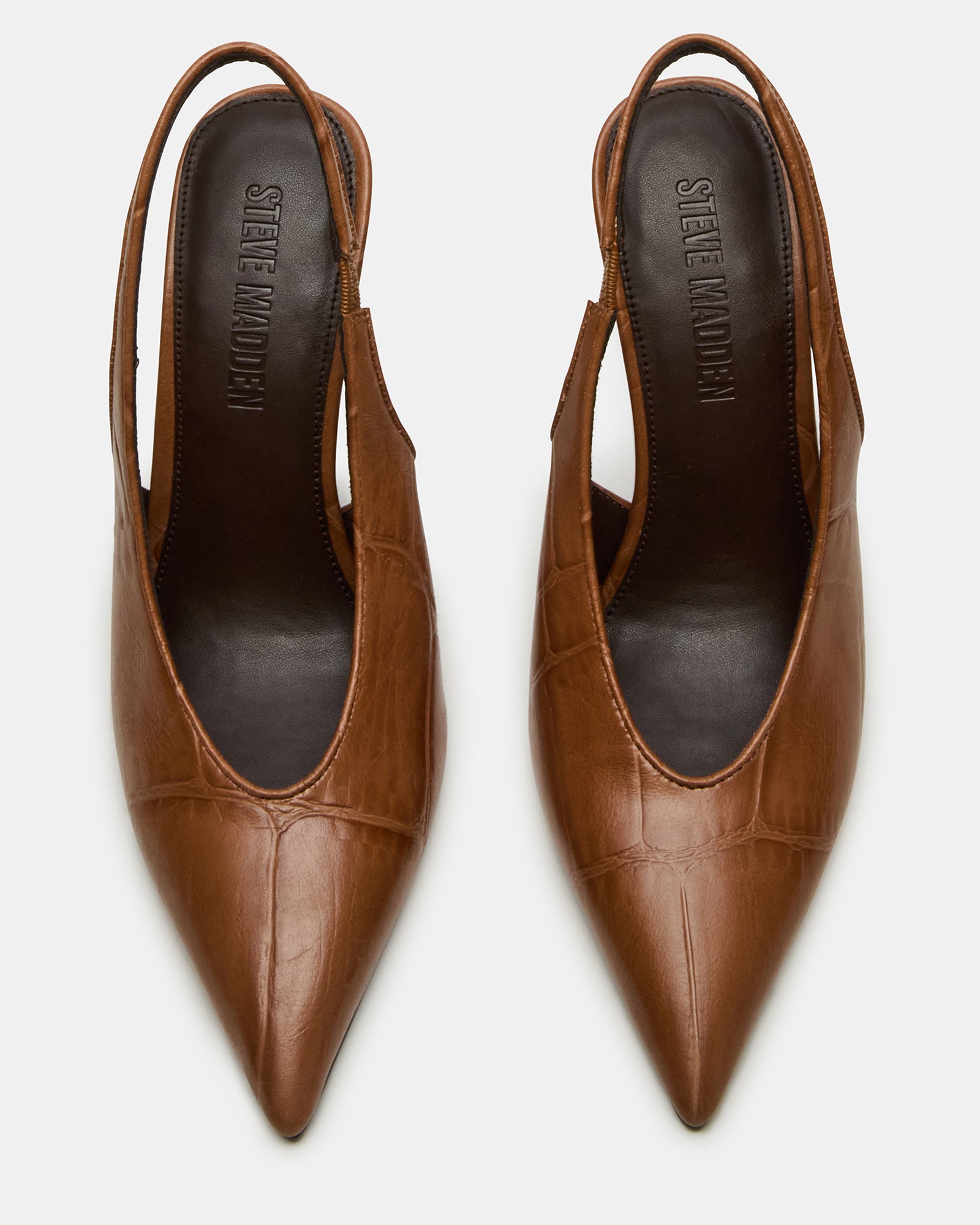 Andromeda Tan Crocodile