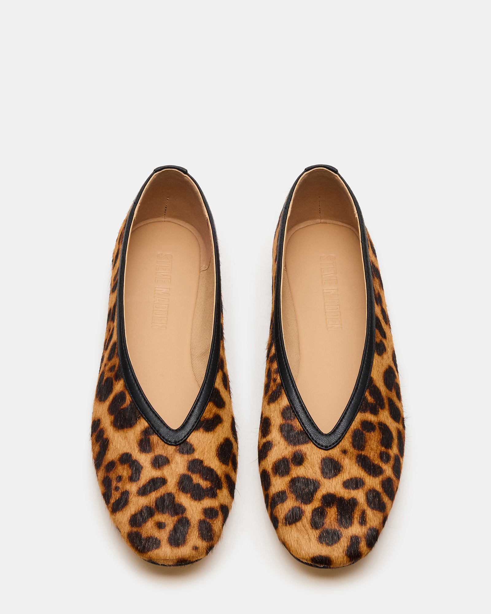 Leni Leopard