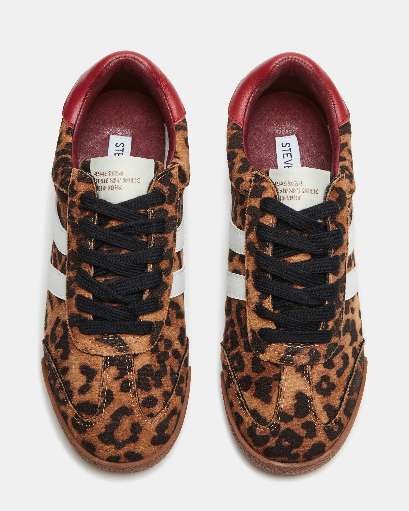 Hudsin Leopard