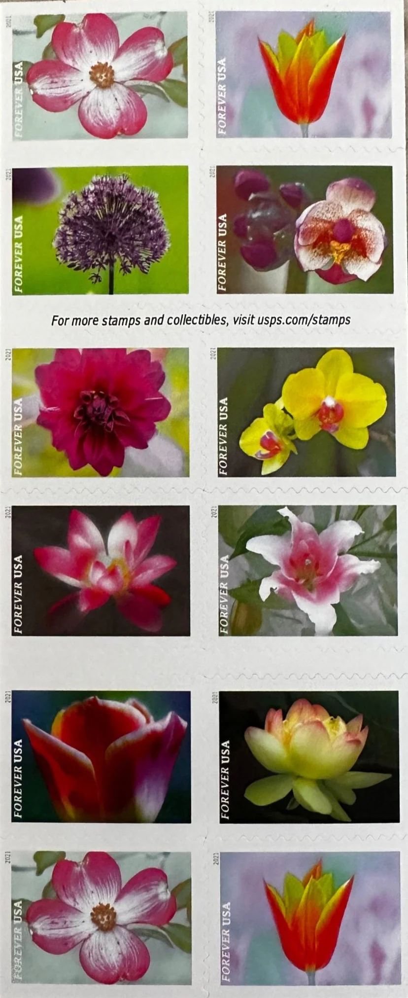 USPS Garden Beauty Forever First Class Postage Stamps