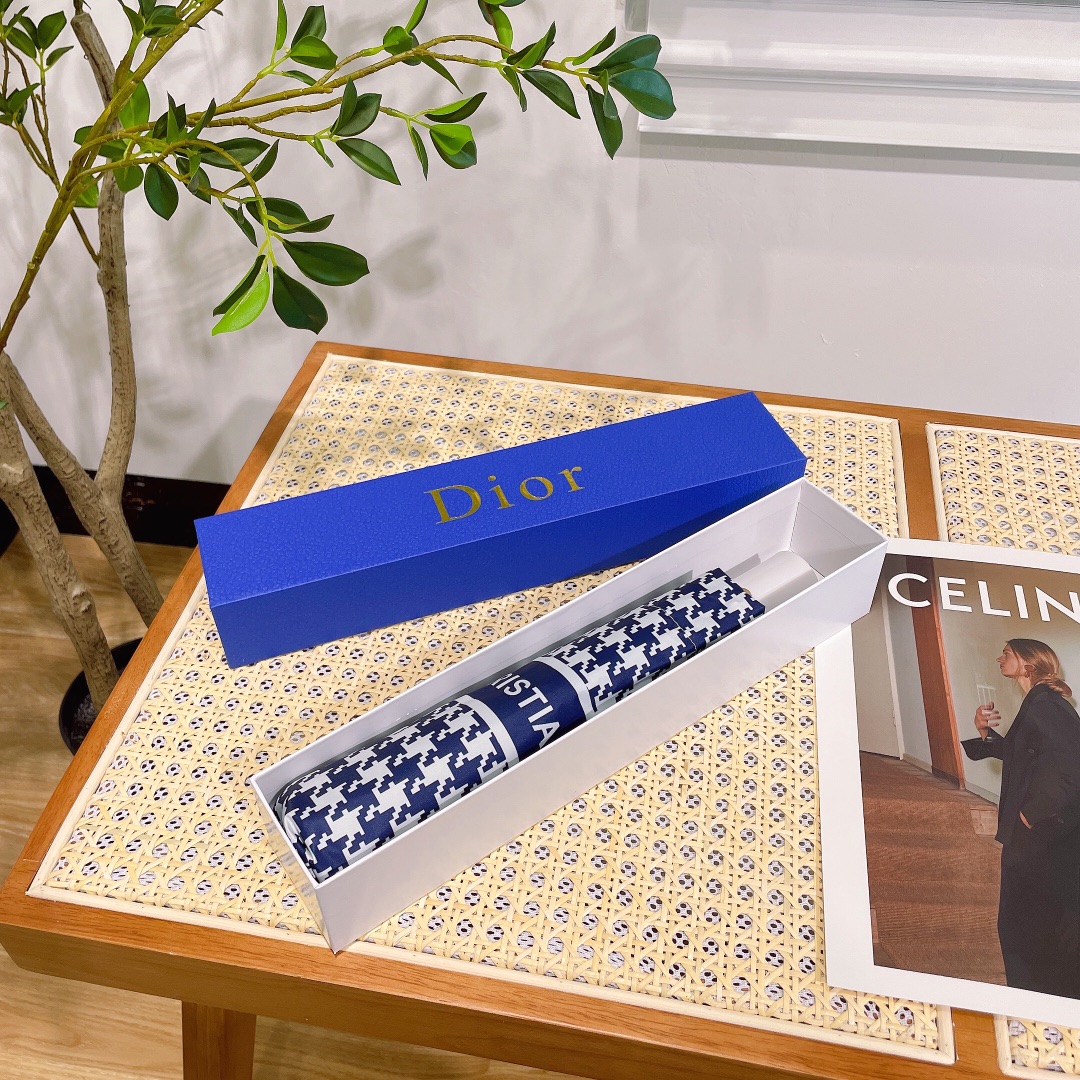 Dior Umbrella