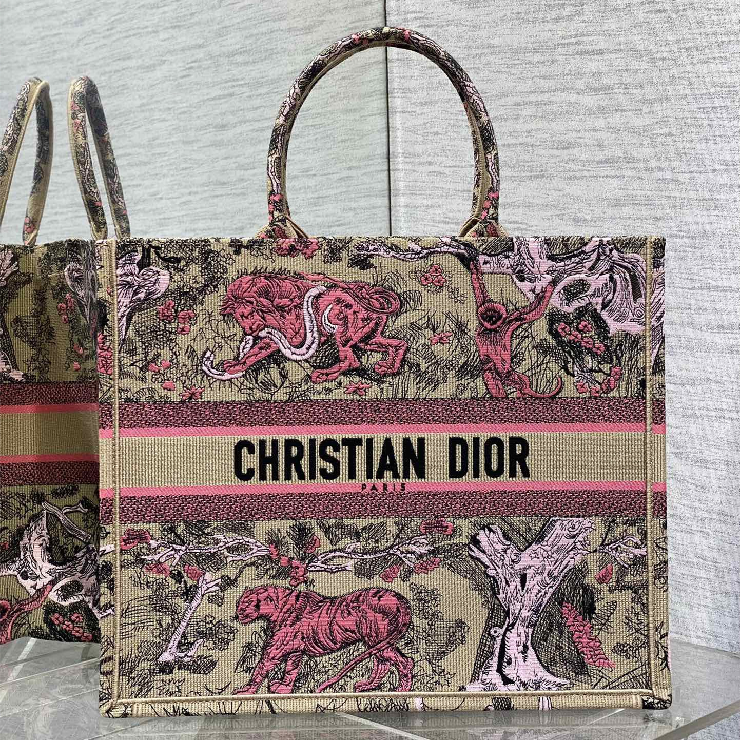 Dior Book Tote Handbags 2-Size