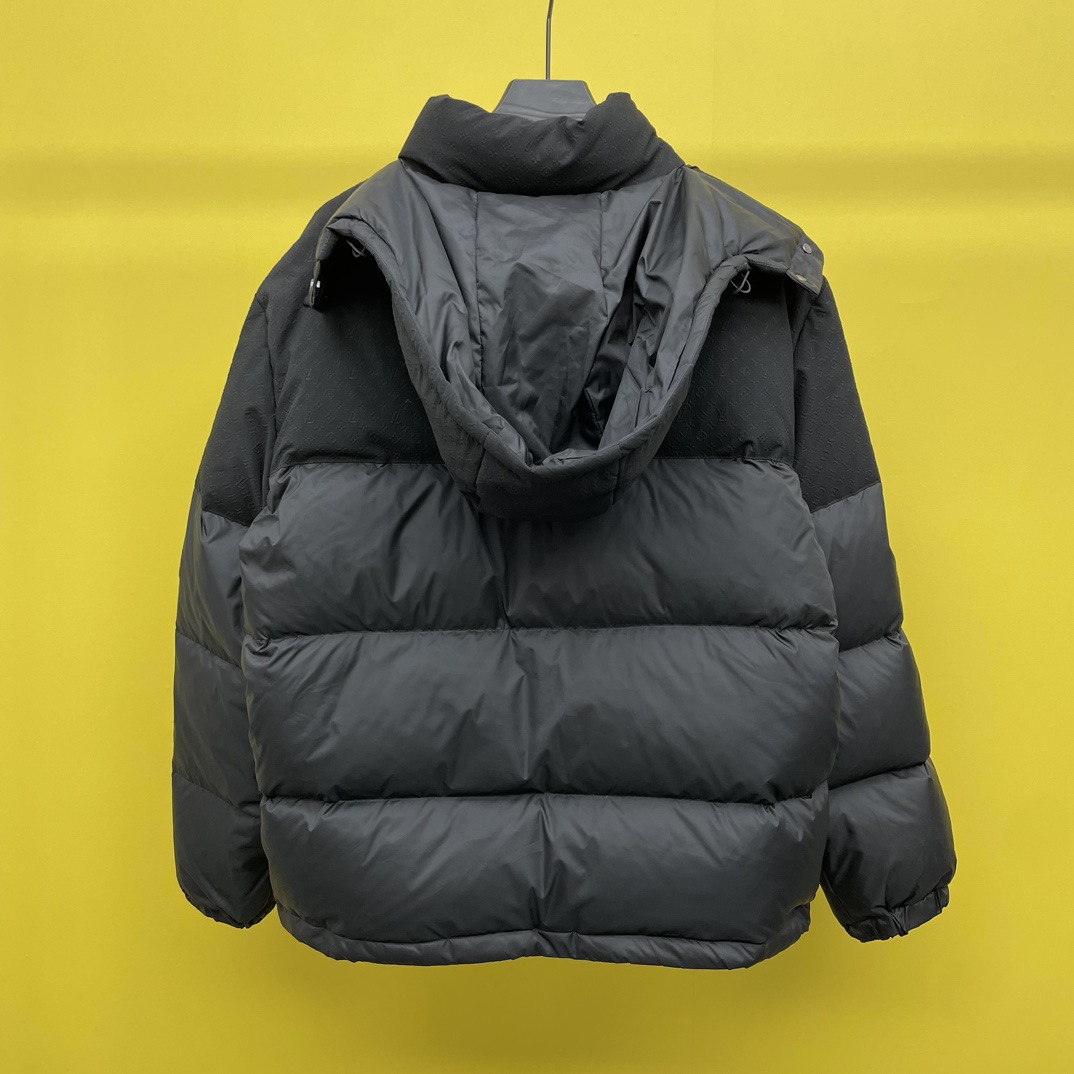Louis Vuitton Unisex Down Jacket Size S-XL