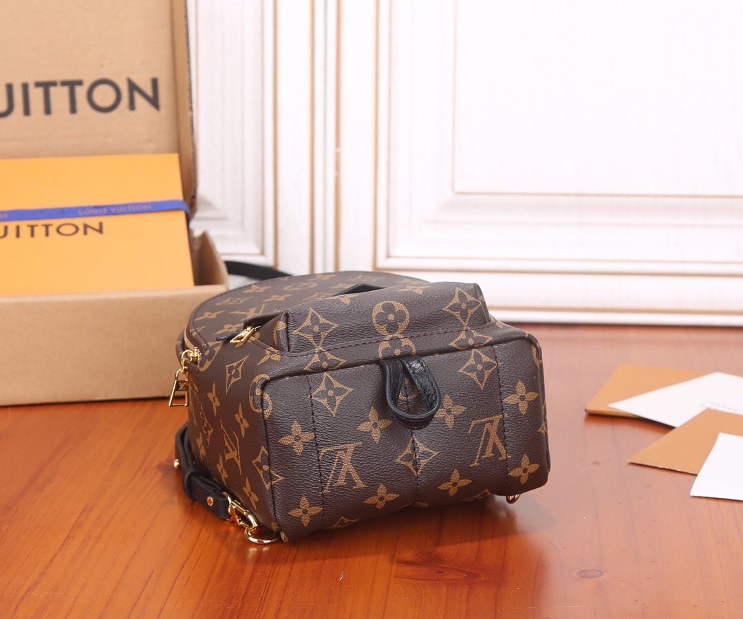 Louis Vuitton Nicolas Ghesquiere Palm Springs Mini Backpack Bags 17*22*10cm