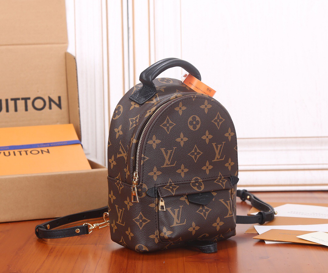 Louis Vuitton Nicolas Ghesquiere Palm Springs Mini Backpack Bags 17*22*10cm