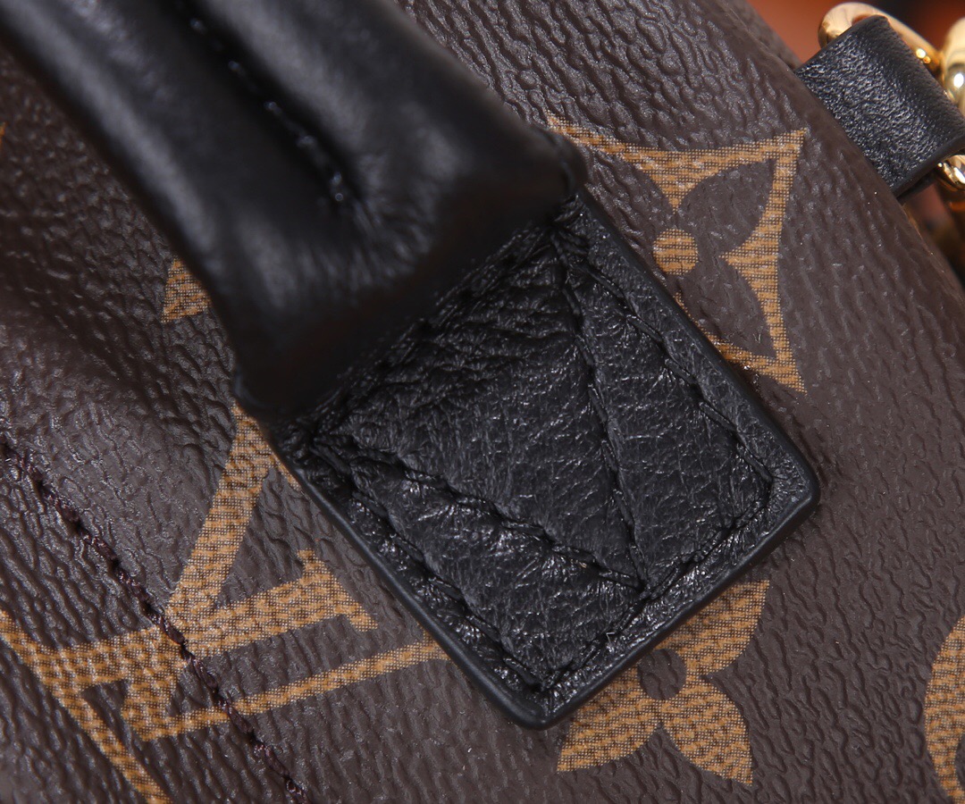 Louis Vuitton Nicolas Ghesquiere Palm Springs Mini Backpack Bags 17*22*10cm