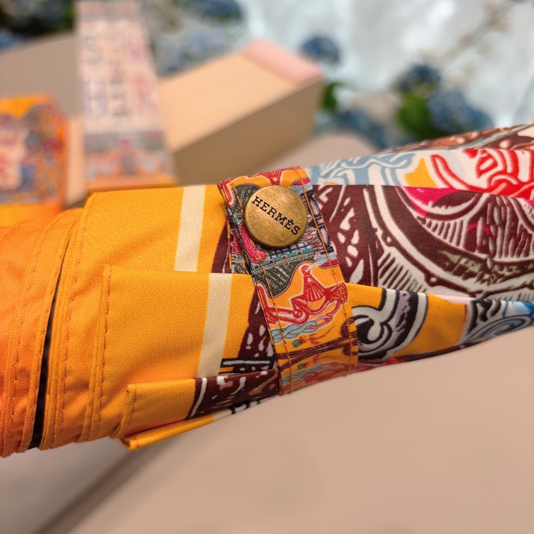 Hermes Umbrella