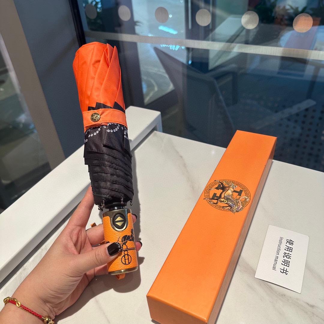 Hermes Umbrella